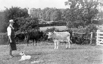 Suttons Close, church in distance c1910 Image Copyright © 2002. All rights reserved.